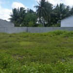 Th Gaadhiffushi - Boundary Wall of Cemetery (3)