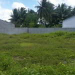 Th Gaadhiffushi - Boundary Wall of Cemetery (3)